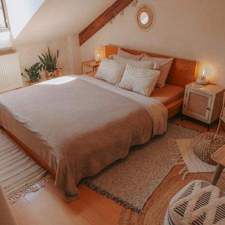 Cozy Apartment In The Heart Of The Historic City 布拉迪斯拉发 外观 照片