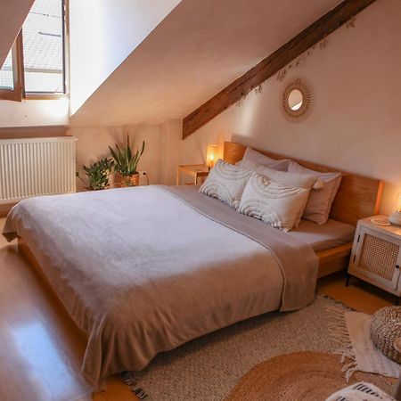 Cozy Apartment In The Heart Of The Historic City 布拉迪斯拉发 外观 照片