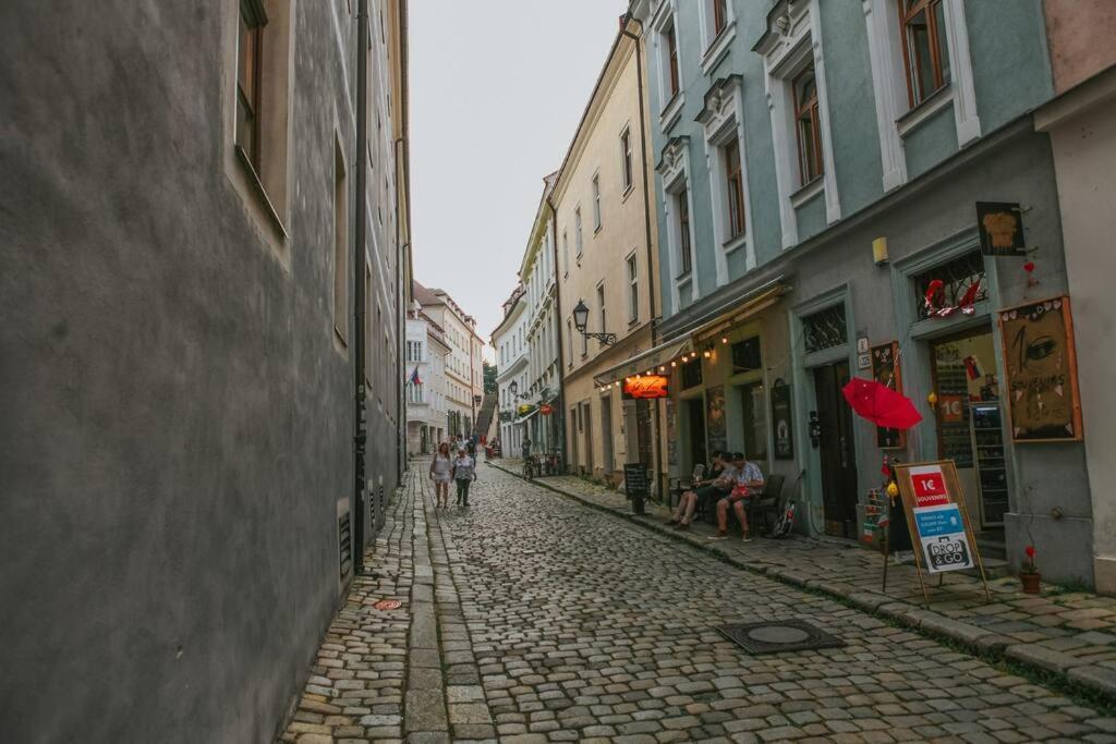 Cozy Apartment In The Heart Of The Historic City 布拉迪斯拉发 外观 照片