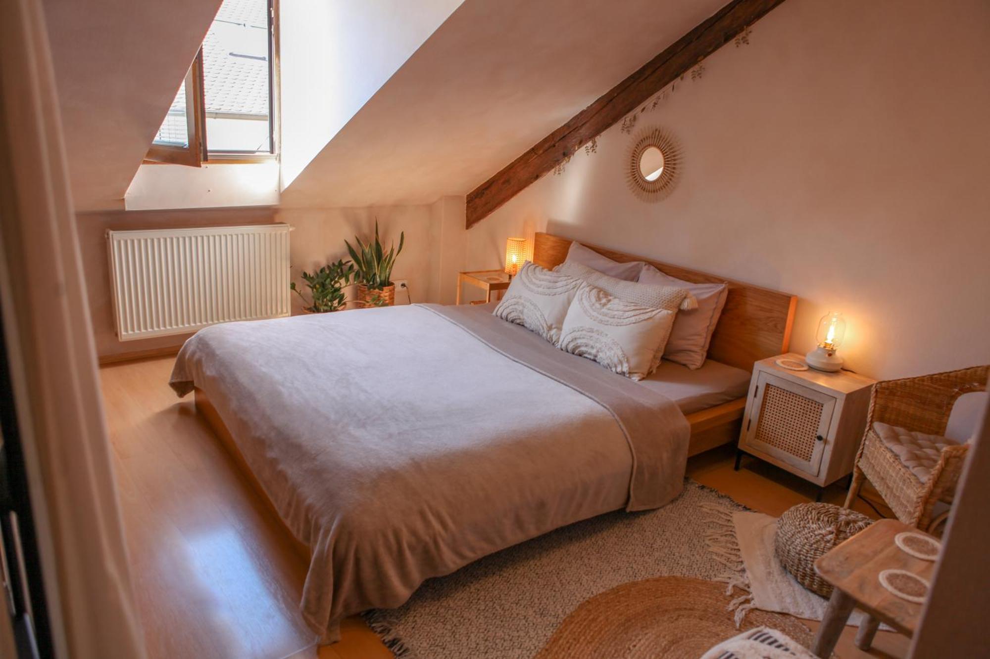 Cozy Apartment In The Heart Of The Historic City 布拉迪斯拉发 外观 照片
